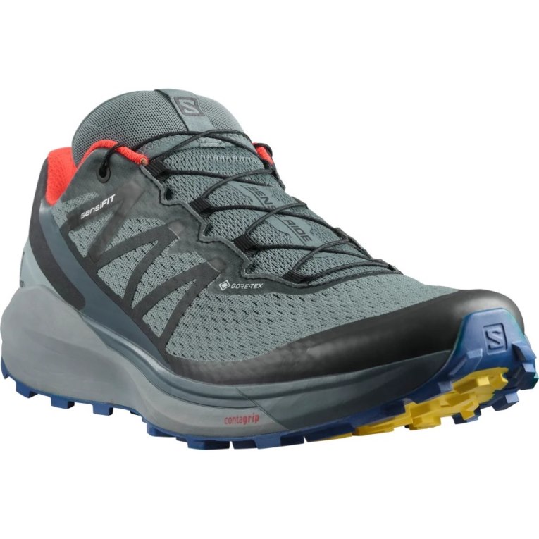 Tenis Para Trail Running Salomon Sense Ride 4 GTX Invisible Fit Hombre Grises | MX TEGA957